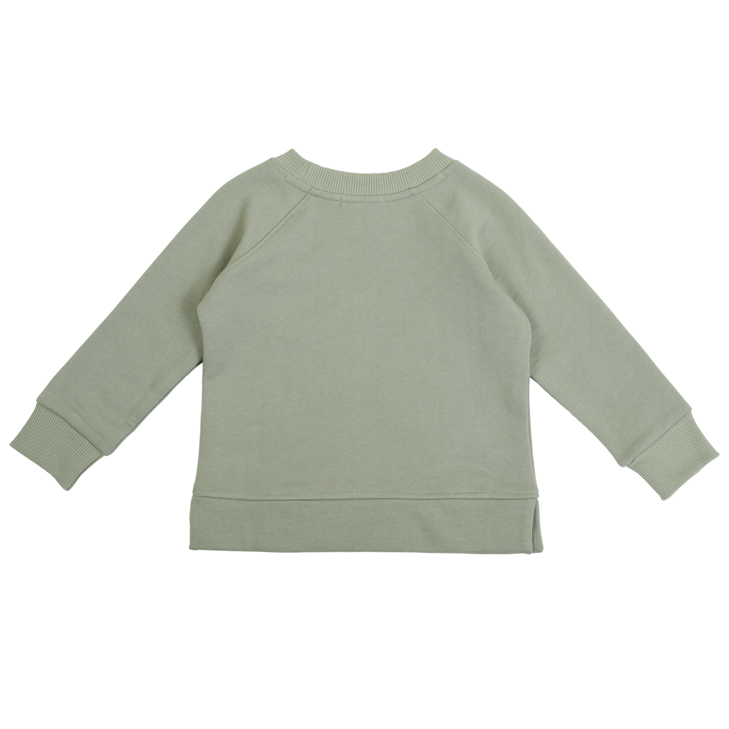 Back flat lay of sage green sweatshirt
