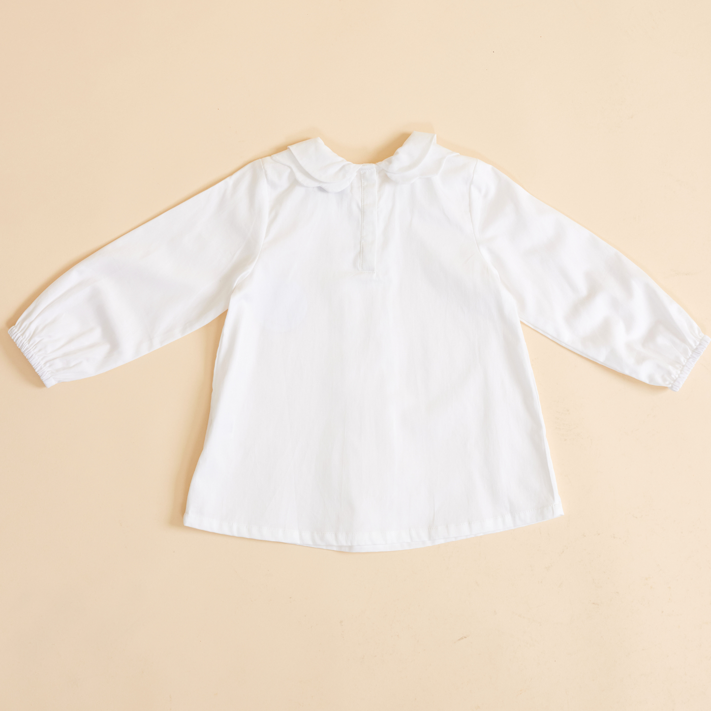 Collared shirt back view button up detail