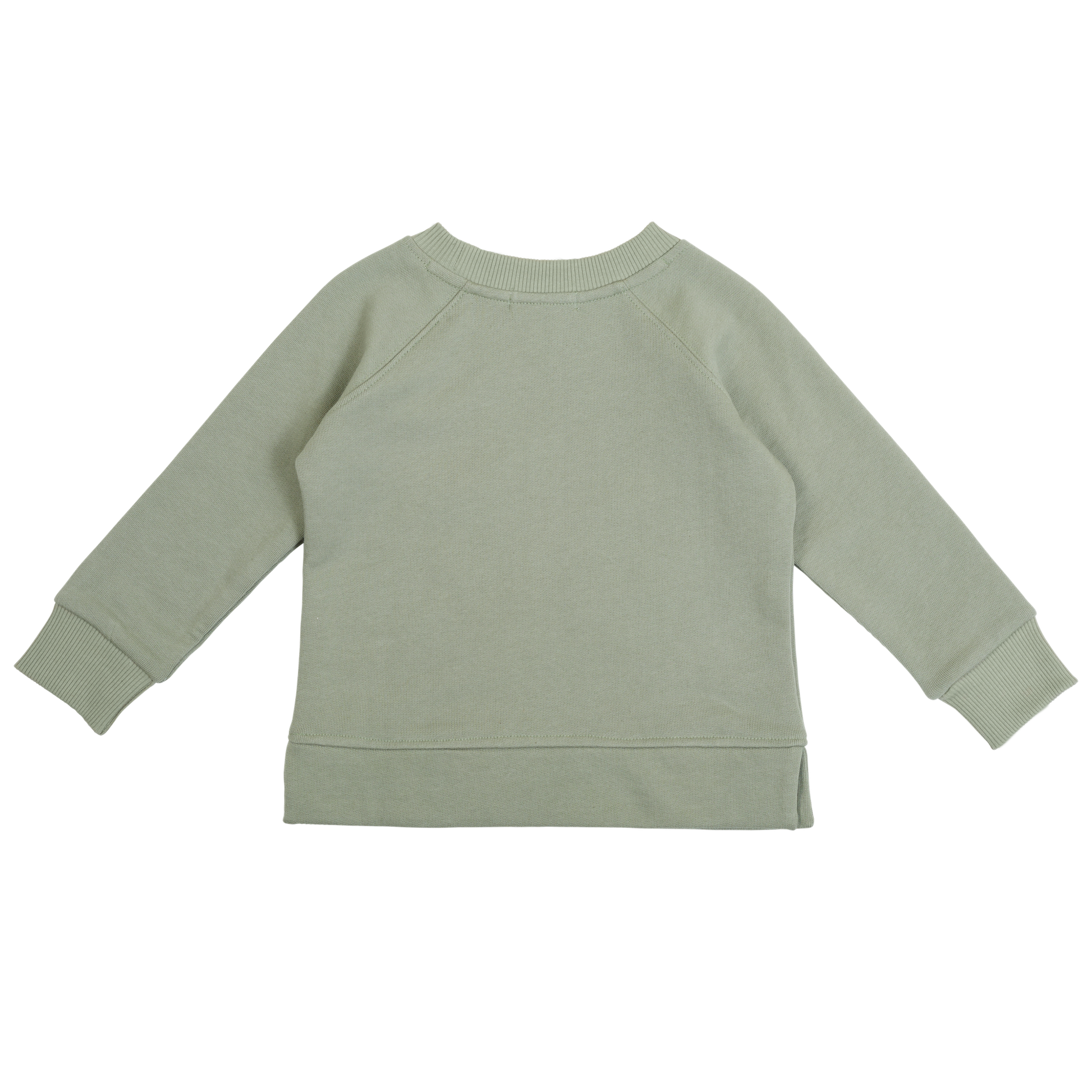 Back flat lay of sage green sweatshirt